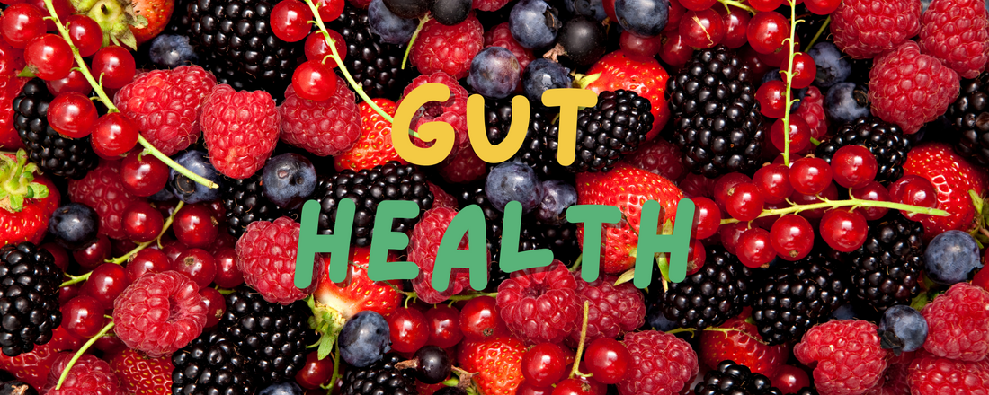 The Best Supplements for Inflammation and Gut Health: Why ageLOC Reset Stands Out